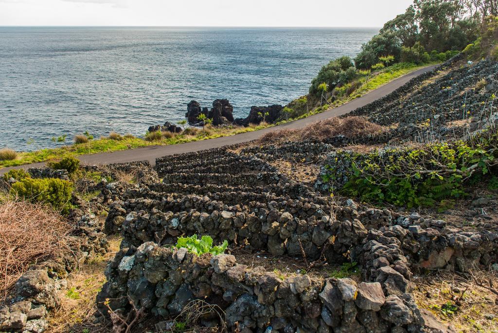 Adega Velha Calheta de Nesquim