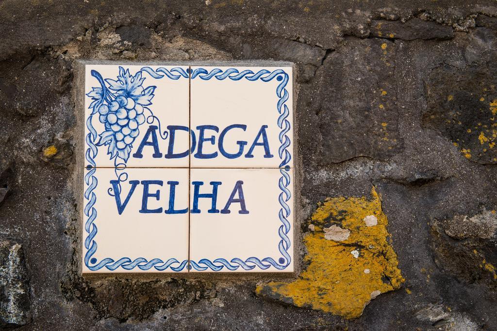 Holiday home Adega Velha *